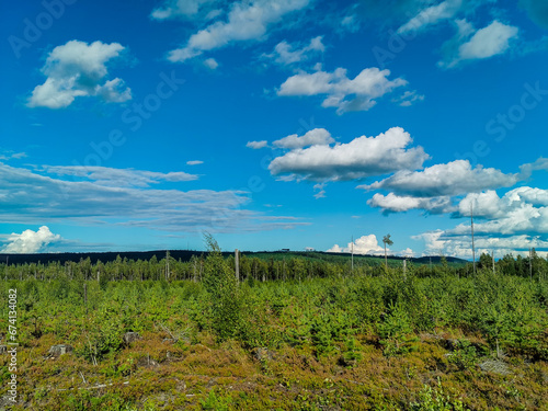 landscape with clouds   image taken in sweden  scandinavia    europe