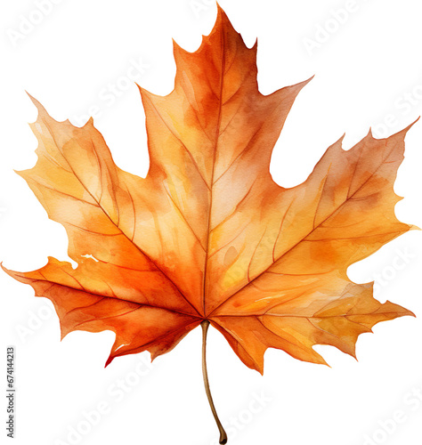 Autumn Maple Leaf Watercolor Clipart