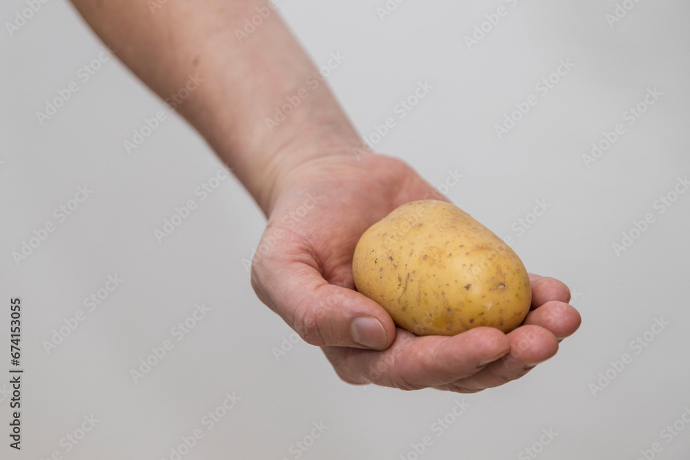 Potato Lover: Caucasian man Holding a Melody Potato Potato Lover: Caucasian man Holding a Melody Potato