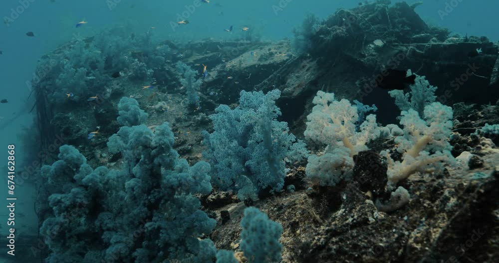 Underwater scenery of colorful creatures and an old sunken ship. Underwater scenery of colorful creatures and an old sunken ship.