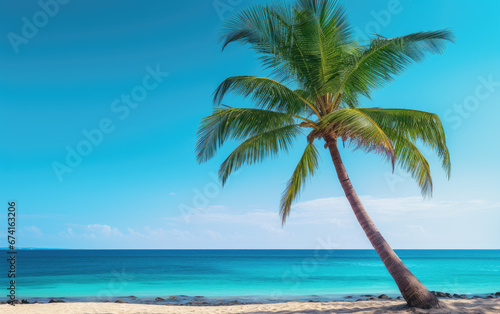 Tropical beach with palm tree wallpaper background banner © Hamburn