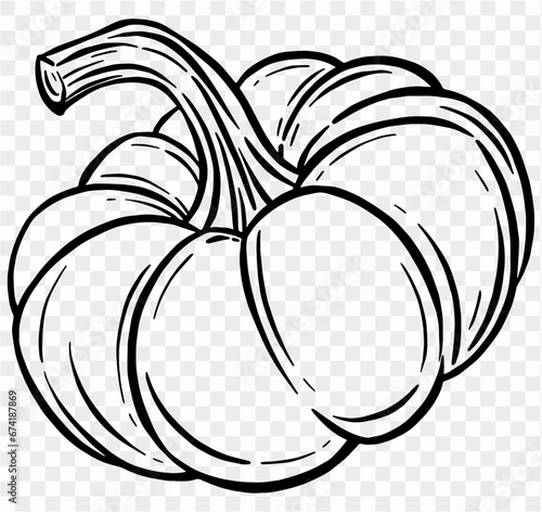 Hand drawn pumpkin in  brush style isolated on transparent PNG background for Thanksgiving 