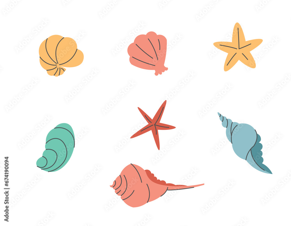Set of seashells and starfish on a white background. Flat cartoon style with line elements. Flat shells for summer design