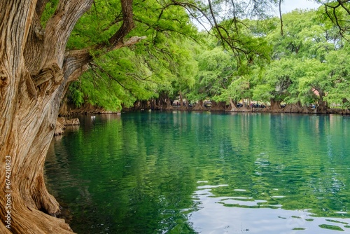 The park of Camecuaro in Tangancicuaro, Mexico