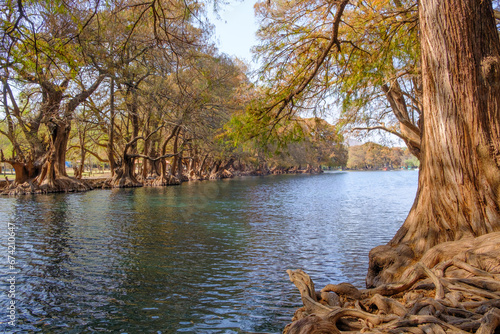 The park of Camecuaro in Tangancicuaro, Mexico