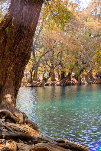 The park of Camecuaro in Tangancicuaro, Mexico
