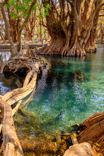 The park of Camecuaro in Tangancicuaro, Mexico