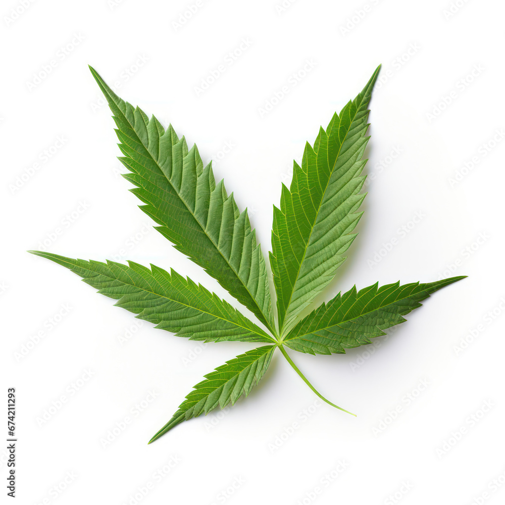 Marijuana Cannabis Leaf Artwork, Generative AI Marijuana Cannabis Leaf Artwork, Generative AI