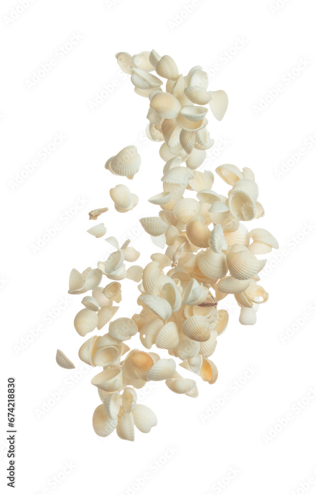 Seashell fall splashing in air. sea shell explosion flying, abstract cloud fly. Many Small white Seashell scatter in many group. White background isolated high speed shutter freeze motion Seashell fall splashing in air. sea shell explosion flying, abstract cloud fly. Many Small white Seashell scatter in many group. White background isolated high speed shutter freeze motion