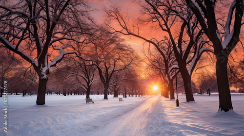 winter sunset in the park © Ziyan Yang