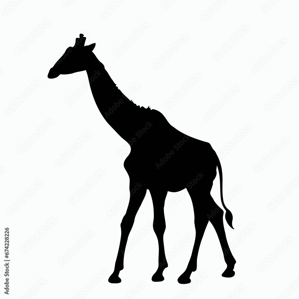 Fototapeta premium Vector Silhouette of Giraffe, Tall Giraffe Illustration for Animal and Zoo Designs