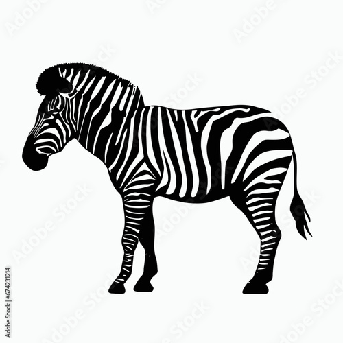 Vector Silhouette of Zebra  Striking Zebra Illustration for Wildlife and Africa Concepts