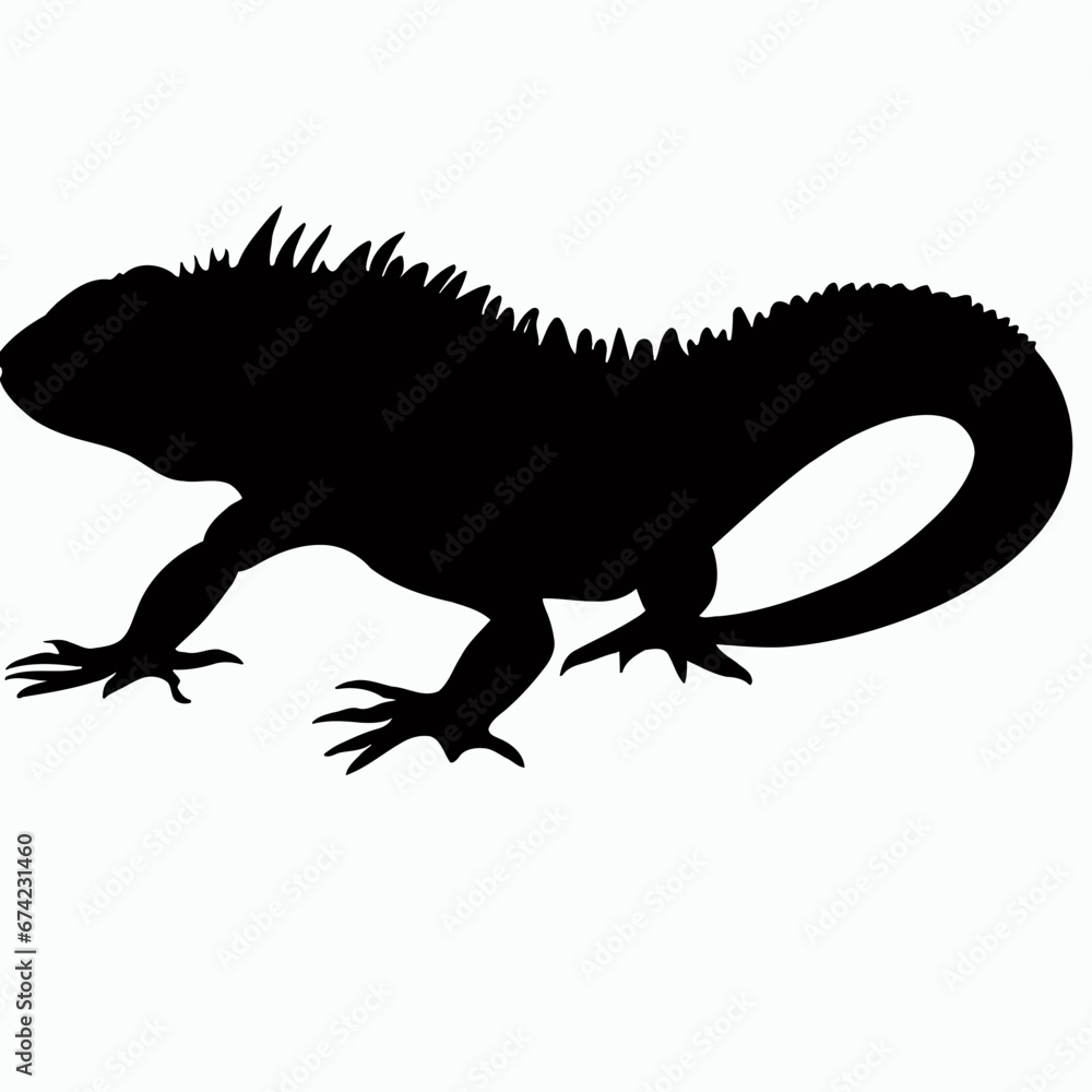 Fototapeta premium iguana on white background