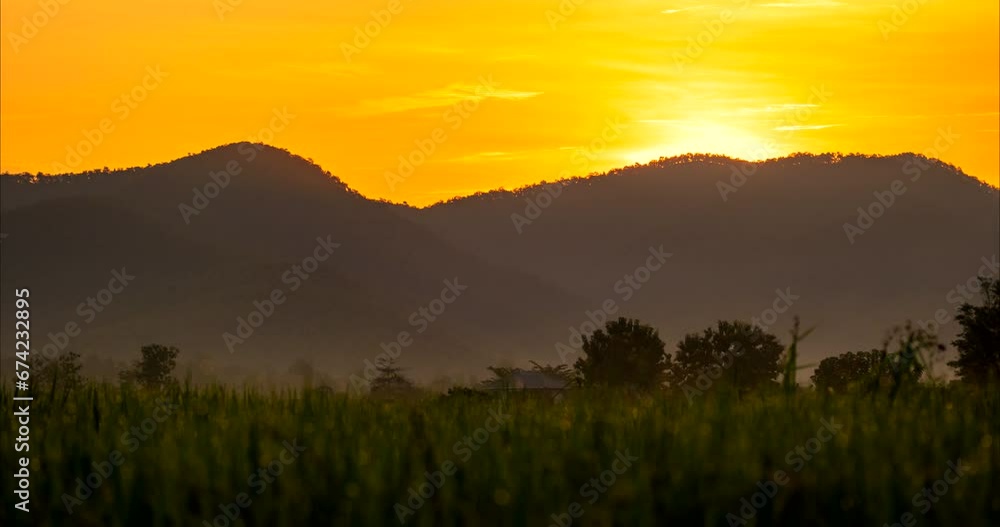 Time-Lapse in the rice fields during the morning with sunrise over the silhouette mountains in Chiang Mai province Thailand. Time-Lapse in the rice fields during the morning with sunrise over the silhouette mountains in Chiang Mai province Thailand.