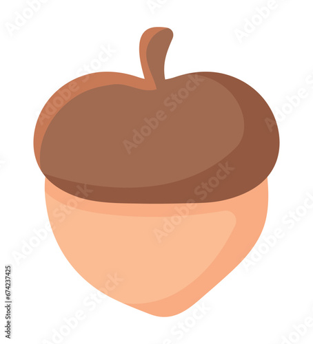 autumn season acorn