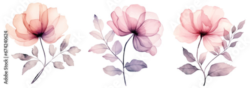 Watercolor Transparent floral set isolated on white collection of roses, leaves, branches bundle in pastel pink, grey, violet, purple, botanical illustration wedding design © Kar