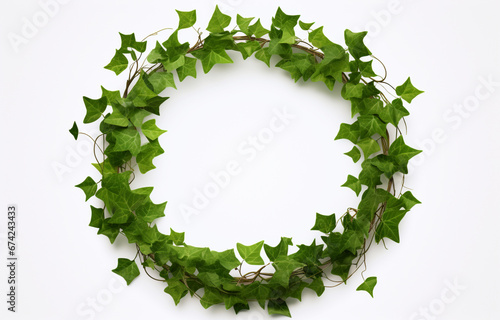 Green ivy creeper plant wreath round isolated on a white background