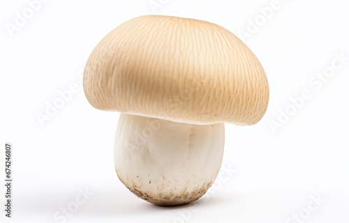 Matsutake mushroom isolated on a white background