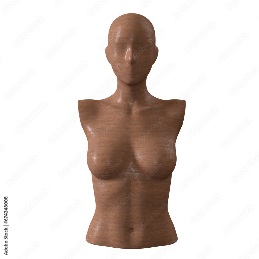 mannequin body 3D Render isolated illustration
