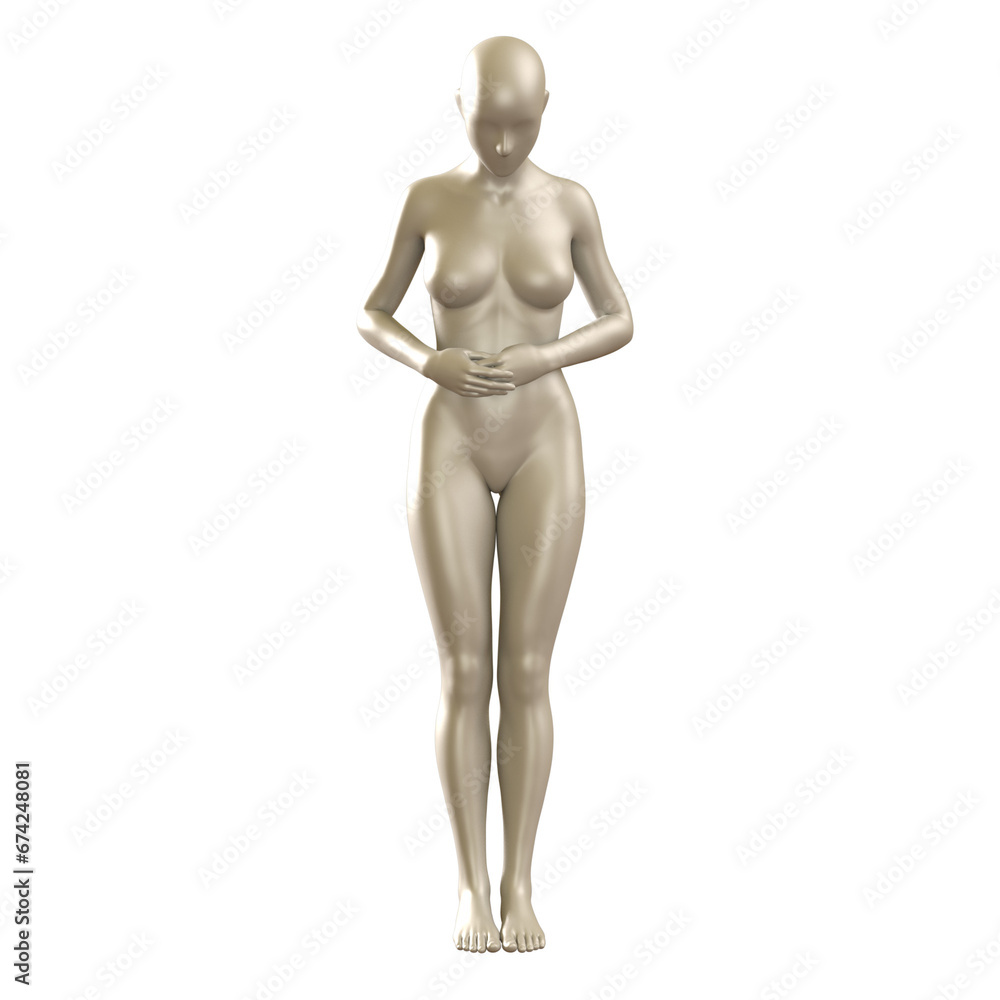 3d human figure Mannequin with a body 3D Render isolated illustration 3d human figure Mannequin with a body 3D Render isolated illustration
