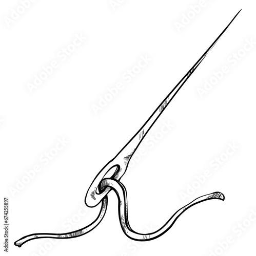 Needle handdrawn illustration