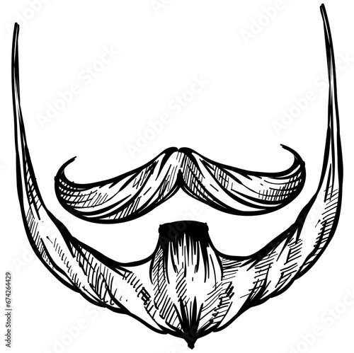 mustache and beard handdrawn illustration