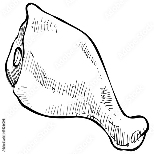 chicken thighs handdrawn illustration