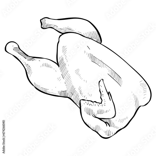 whole chicken handdrawn illustration