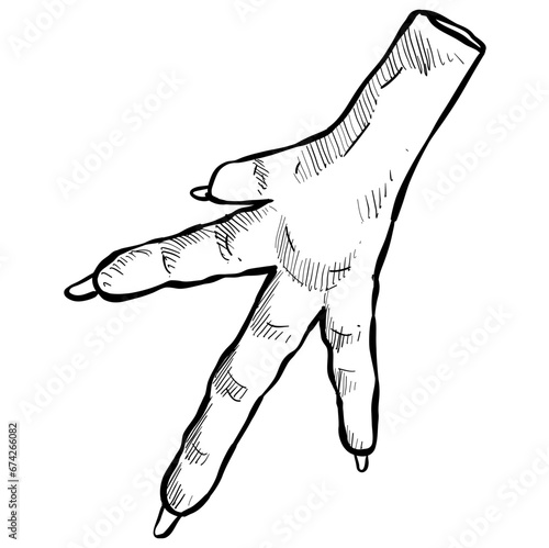 chicken feet handdrawn illustration