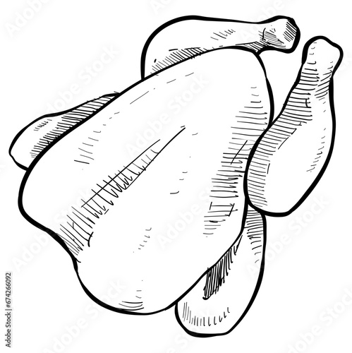 whole chicken handdrawn illustration