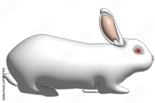 rabbit on a white background