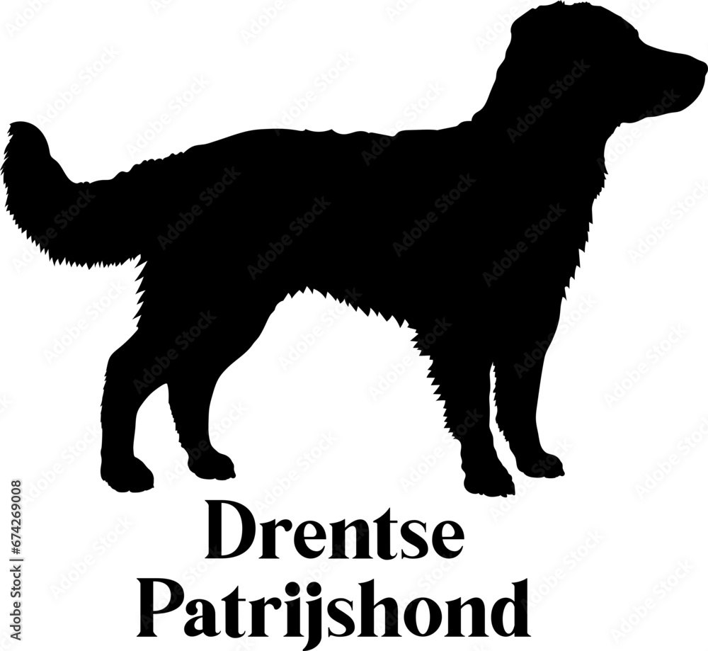 Drentse Patrijshond Dog silhouette dog breeds logo dog monogram logo dog face vector
SVG PNG EPS