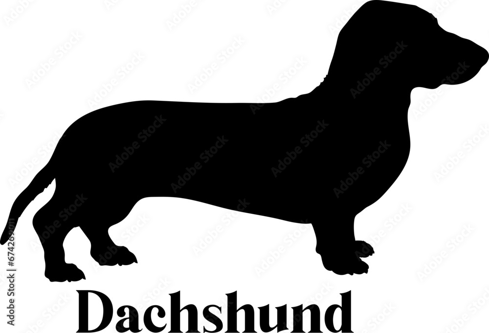 Dachshund. Dog silhouette dog breeds logo dog monogram logo dog face vector
SVG PNG EPS