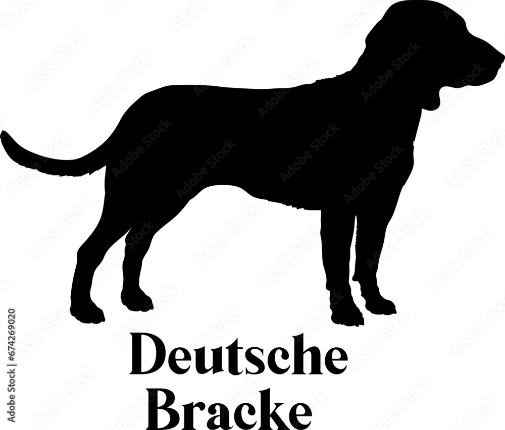 Deutsche Bracke. Dog silhouette dog breeds logo dog monogram logo dog face vector
SVG PNG EPS