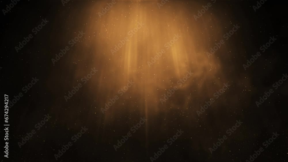 Phoenix Fire Bird Animation Template Fire Bird Phoenix Intro Stock