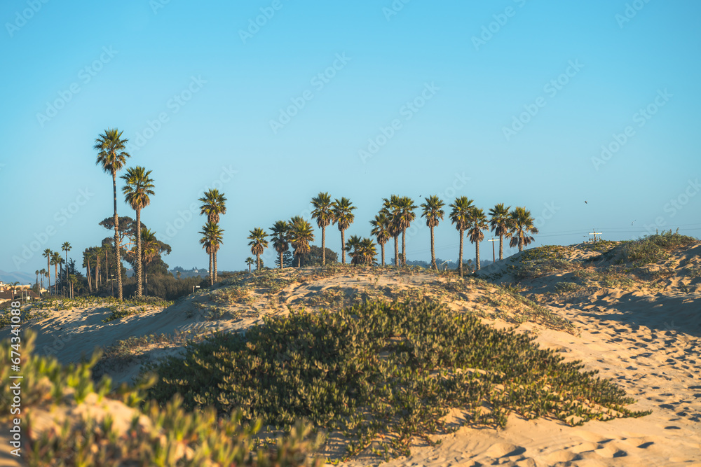 Sand dunes , palm trees, and a blue sky in the background, California landscape