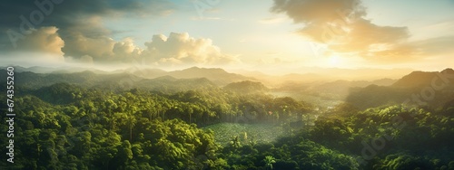 Beautiful green amazon forest landscape at sunset sunrise. Adventure explore air dron view vibe. Graphic Art © LaxmiOwl