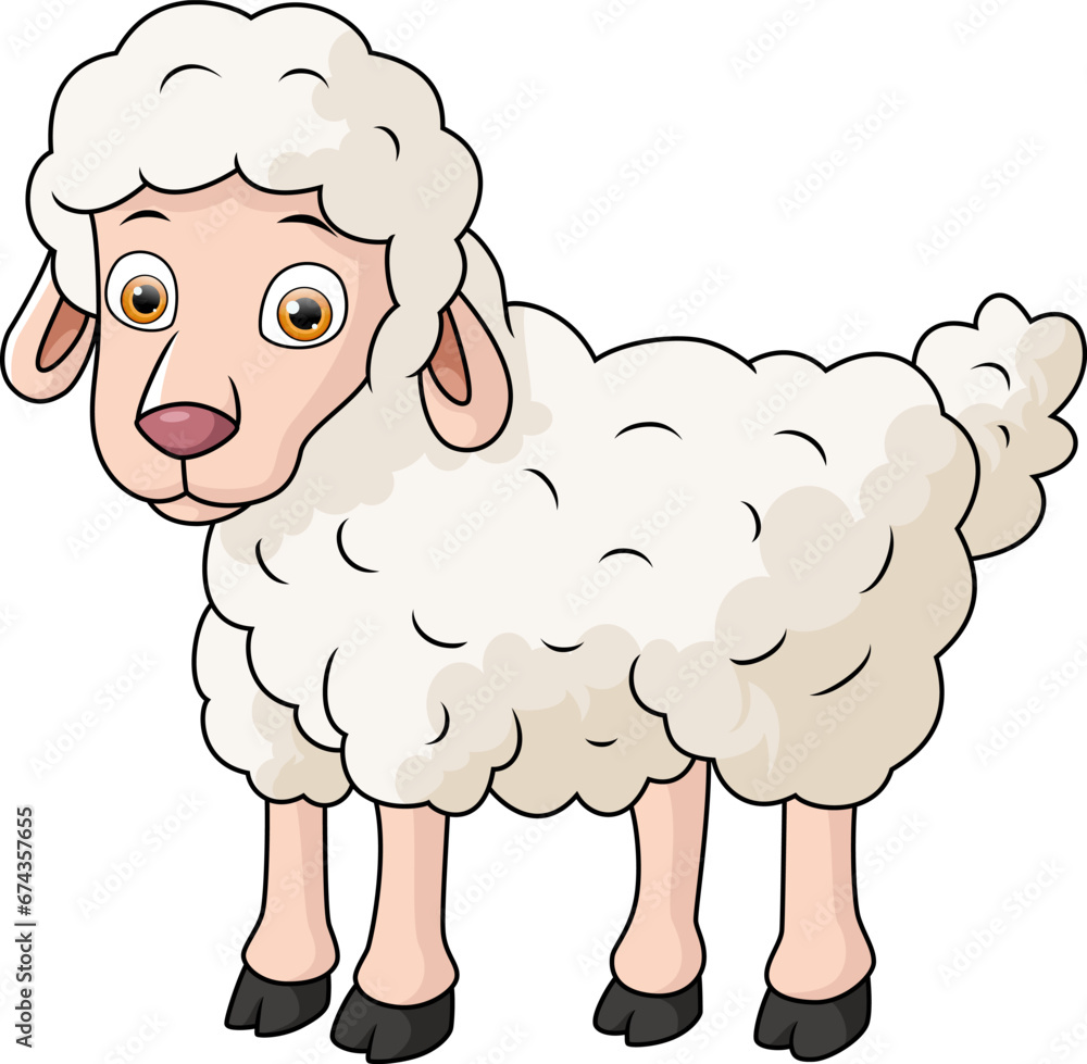 Obraz premium Cute baby sheep cartoon on white background