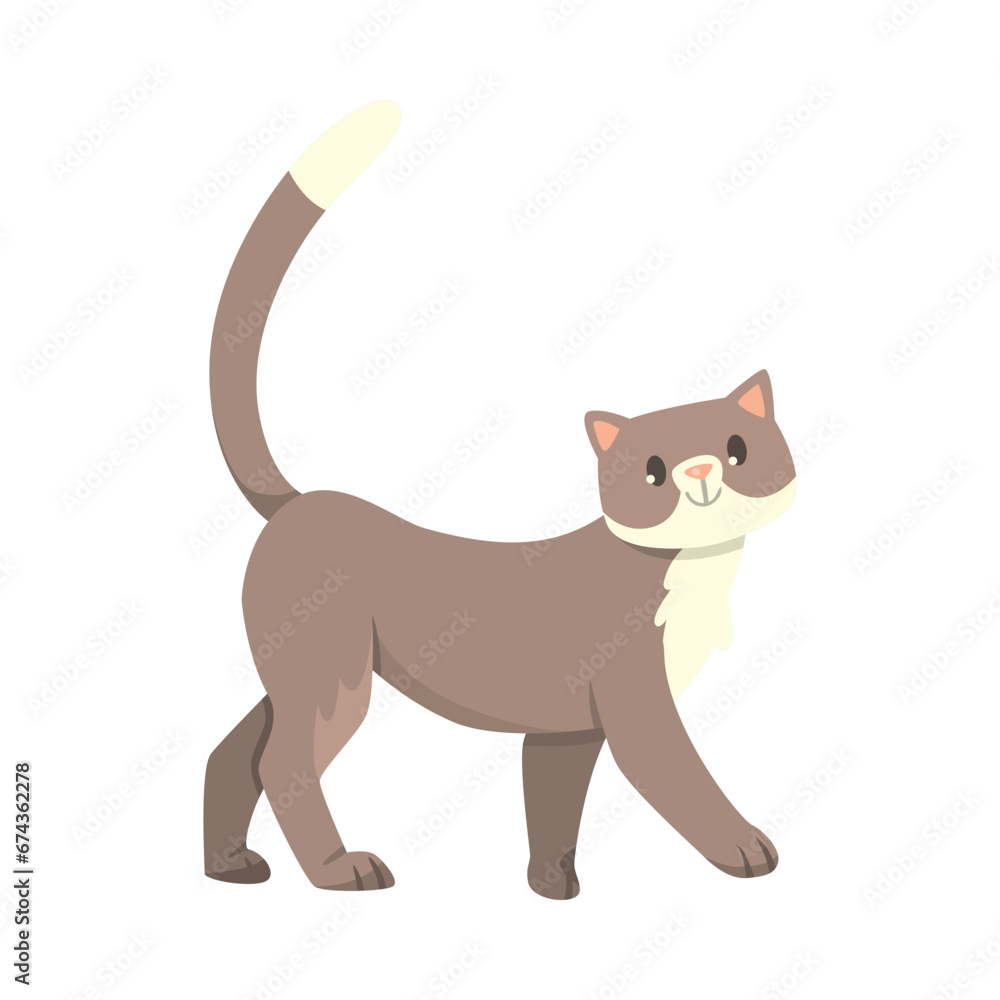 Funny Cat with Cute Snout as Domestic Pet Walking Vector Illustration Funny Cat with Cute Snout as Domestic Pet Walking Vector Illustration