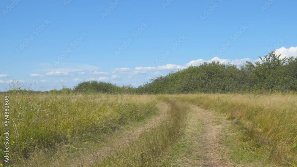A country road running through a meadow on a summer day. Wild nature A country road running through a meadow on a summer day. Wild nature