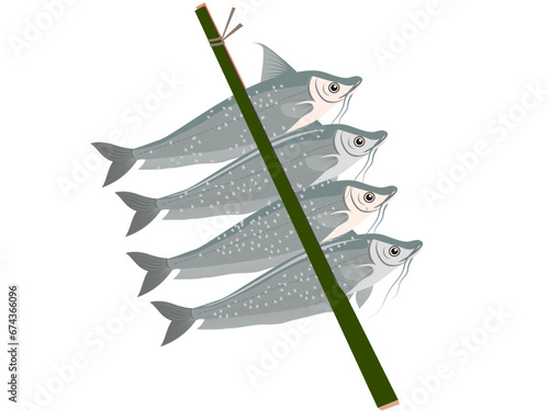 soft fish on a white background.