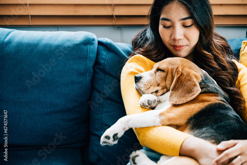 A woman shares a precious nap with her Beagle puppy on the sofa in their living room, capturing the essence of trust, togetherness, and happiness. It's a heartwarming home portrait. Pet love