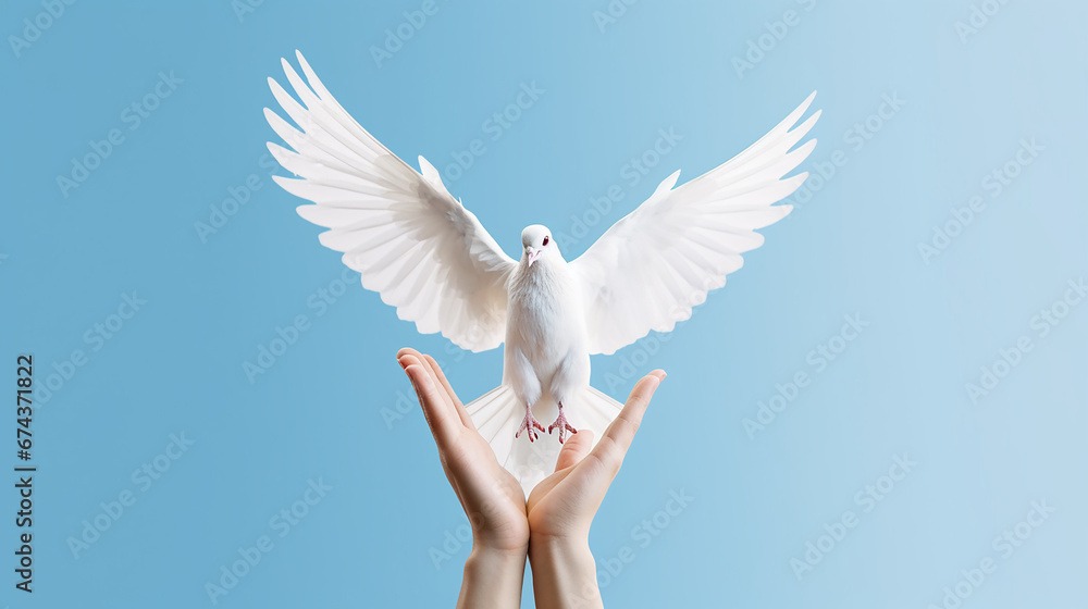 Obraz premium The concept of the dove of peace. Symbol of freedom and international day of peace.