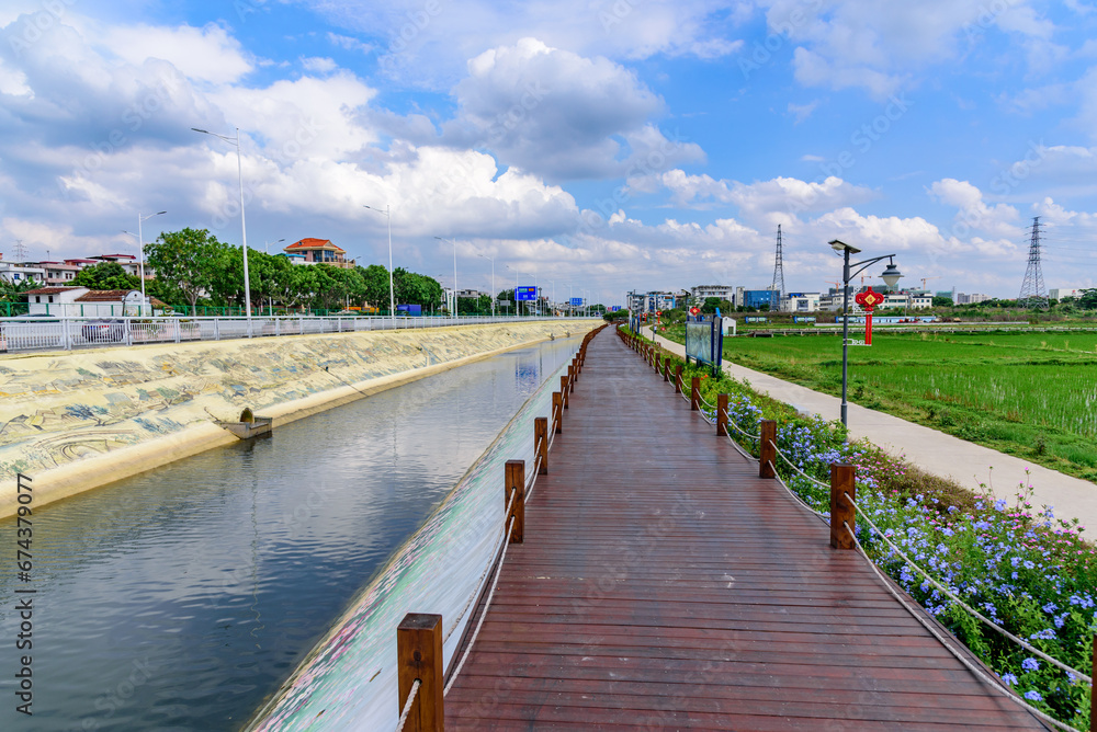 Boardwalk on the dam by the fields. Spring rural landscape in southern China. Scenery of Shangyuan Rice Field Park, Chashan, Dongguan, Guangdong, China. 