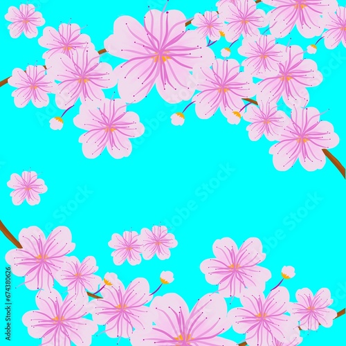 flowers background  sakura frame with blue background