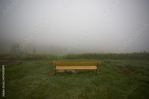 yellow bench on green grass in the park in the morning in the fog