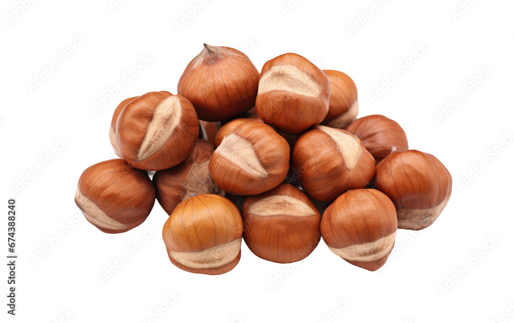 Detailed Unprocessed Nuts in Realism On White or PNG Transparent Background Detailed Unprocessed Nuts in Realism On White or PNG Transparent Background