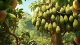 A Durian tree full of hanging fruits in various stages of ripeness, capturing the cycle of growth and harvest.