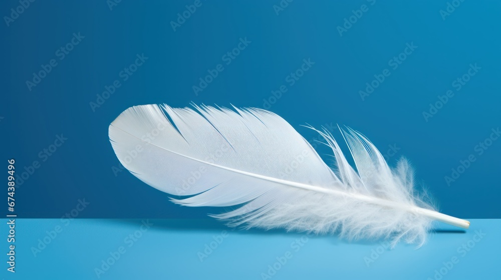 white bird feather on blue background white bird feather on blue background