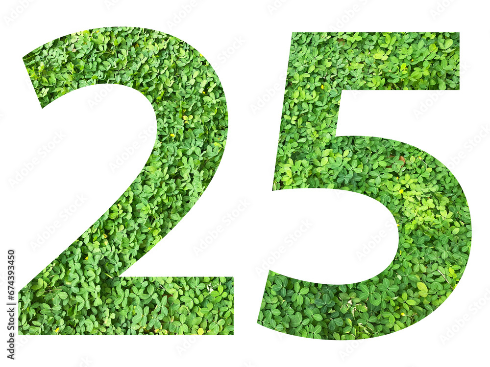 The shape of the number 25 is made of green grass isolated on transparent background. Go green concept. The shape of the number 25 is made of green grass isolated on transparent background. Go green concept.